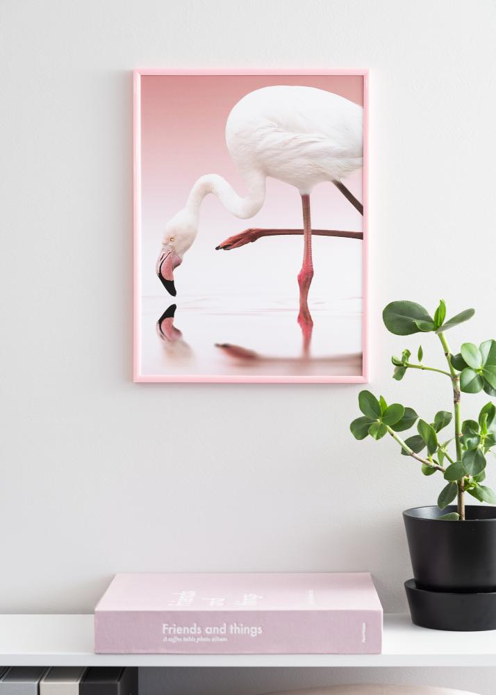 Ram med passepartou Frame New Lifestyle Pink 60x80 cm - Picture Mount White 50x65 cm