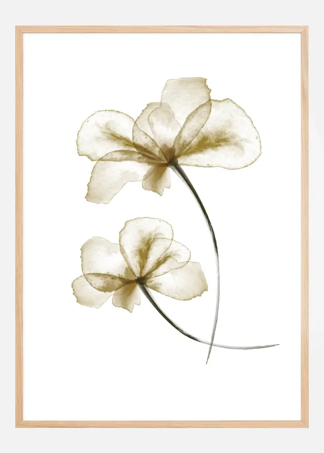 Bildverkstad Pressed Flowers Poster