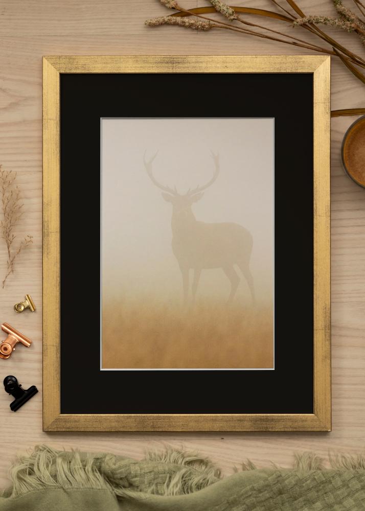 Ram med passepartou Frame Stilren Gold 20x25 cm - Picture Mount Black 5x7 inches