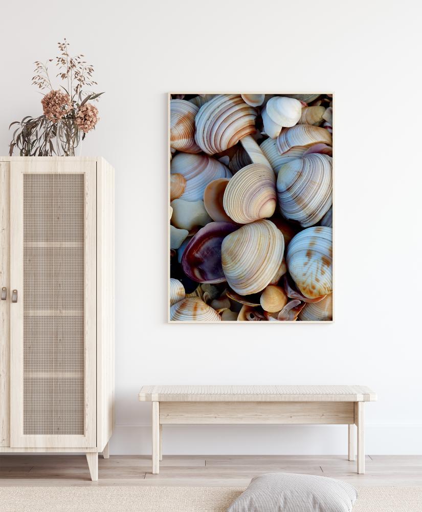 Bildverkstad Shells Poster