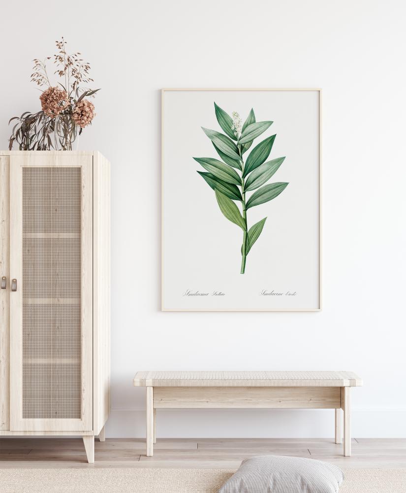 Bildverkstad Smilacina Stellata Poster