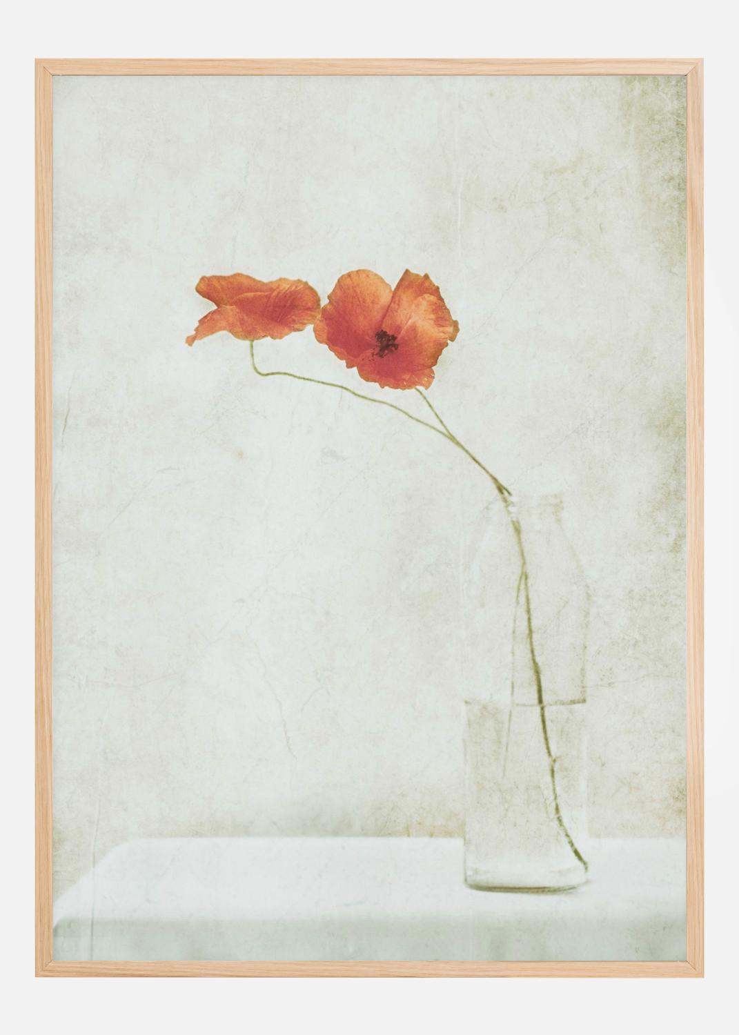 Product Image for Two Poppies In A Bottle Poster (50x70 cm)