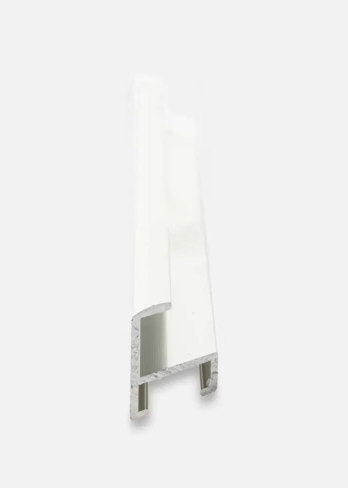 Ramverkstad Mirror Karlholm Silver - Custom Size