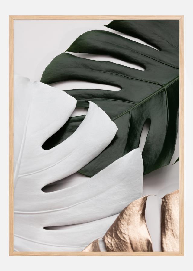 Bildverkstad Monstera Colors Poster