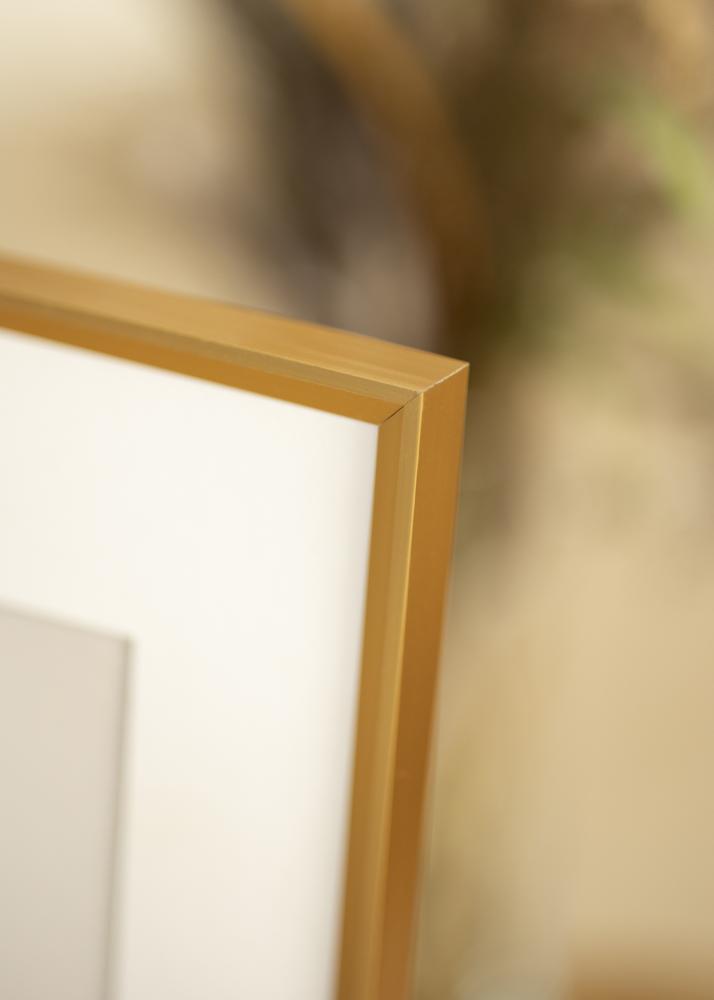 Ram med passepartou Frame Desire Gold 40x50 cm - Picture Mount White 29.7x42 cm (A3)