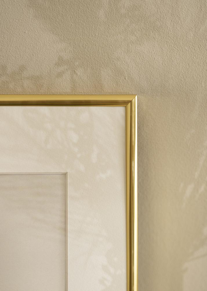 Estancia Frame Visby Acrylic glass Glossy Gold 40x50 cm