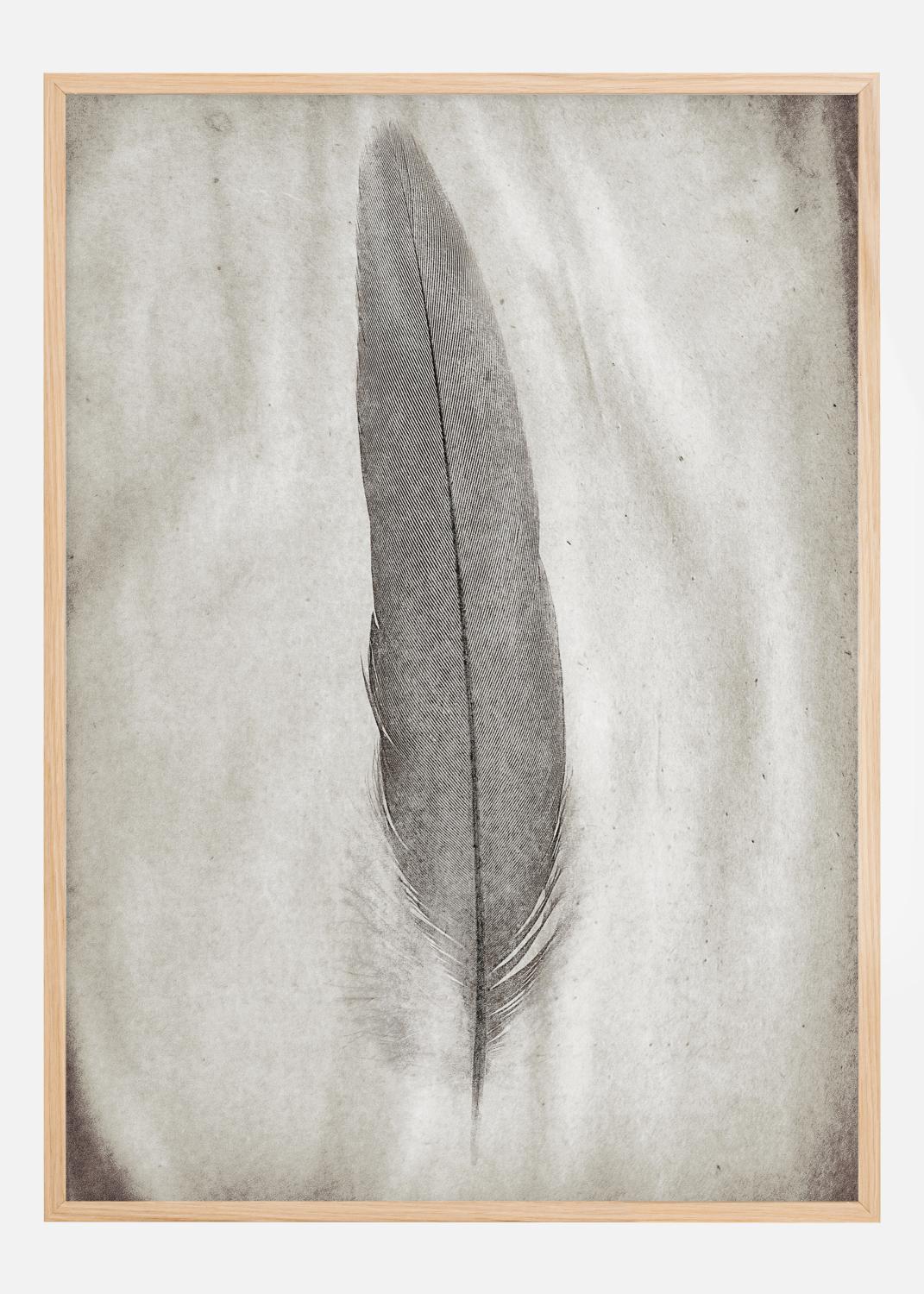 Product Image for Aquarelle Feather Poster (70x100 cm)