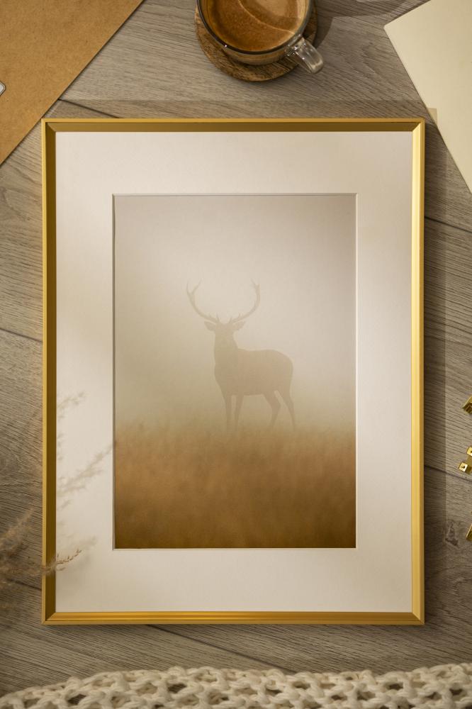 Ram med passepartou Frame Desire Gold 40x50 cm - Picture Mount White 29.7x42 cm (A3)