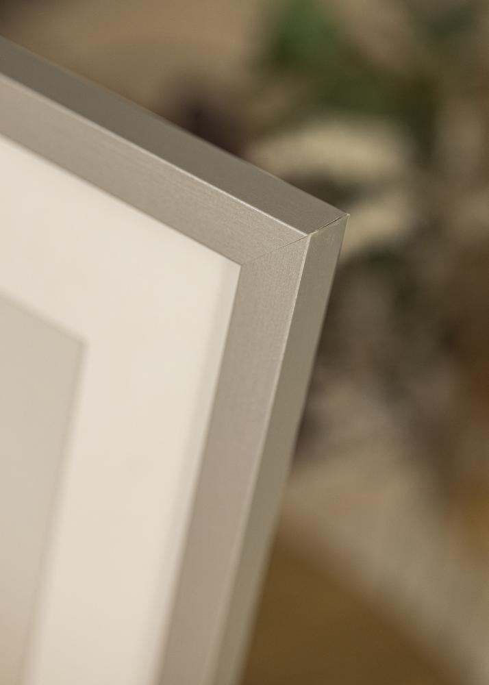 Ram med passepartou Frame Selection Silver 40x60 cm - Picture Mount White 30x50 cm