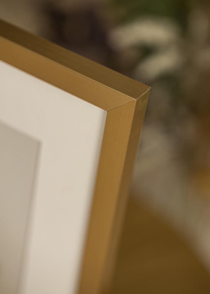 Ram med passepartou Frame Selection Gold 70x100 cm - Picture Mount White 62x85 cm