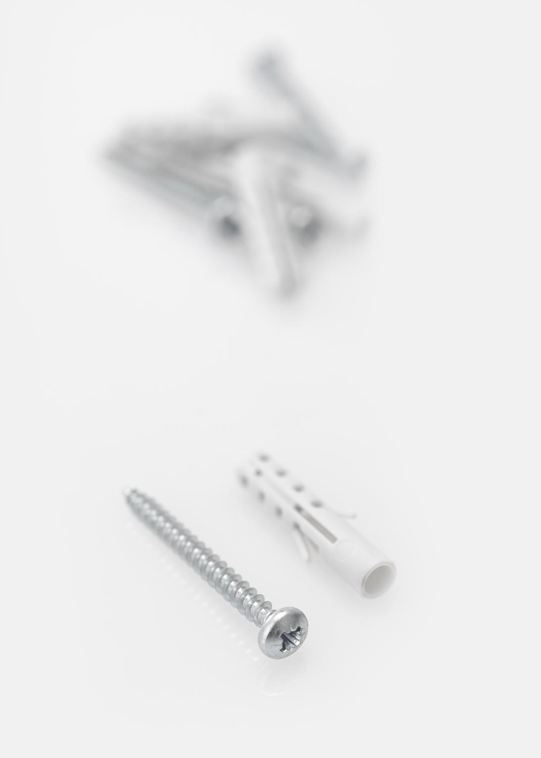 Product Image for Screw and plug for concrete wall - 5-pack (40x8 mm)