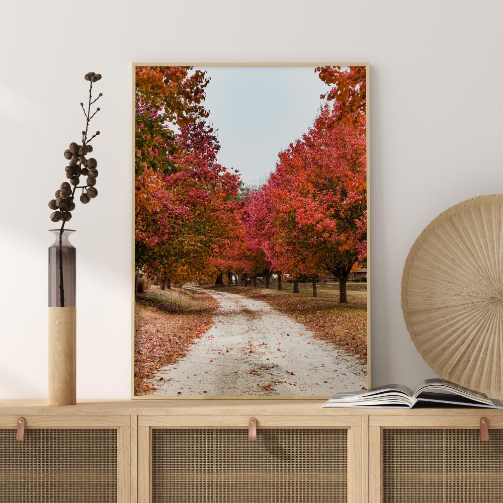 Bildverkstad Autum Road Poster