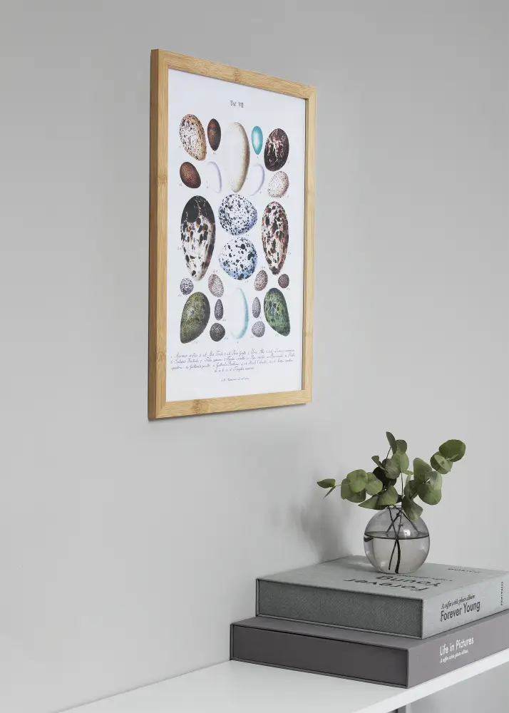 Ram med passepartou Frame Hoei Bamboo 70x100 cm - Picture Mount Black 62x85 cm
