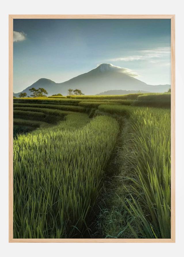 Bildverkstad Beautiful Landscape Poster