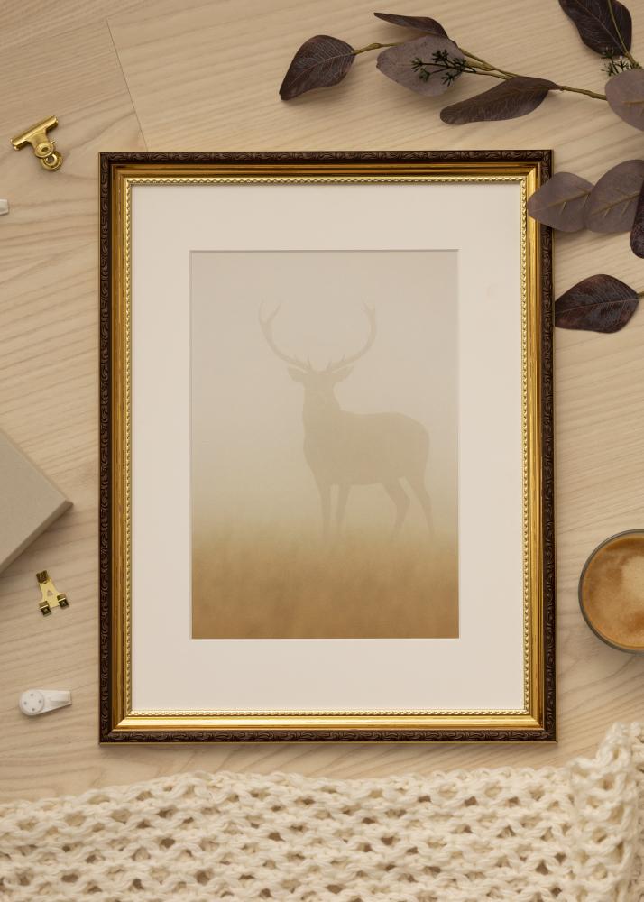 Ram med passepartou Frame Abisko Gold 40x50 cm - Picture Mount White 27x35 cm