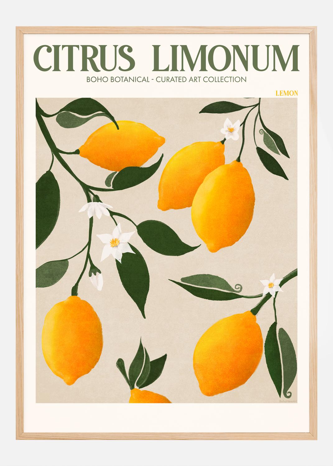Product Image for Boho Citrus Limonum Poster (21x29.7 cm (A4))