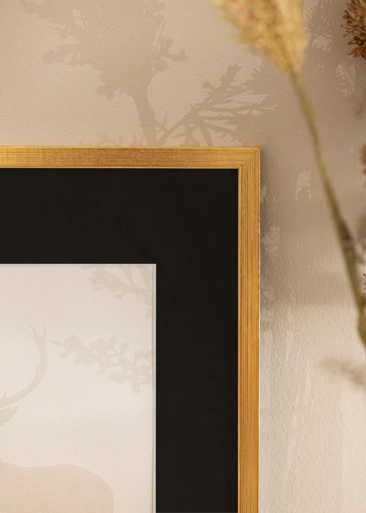 Ram med passepartou Frame Edsbyn Gold 40x50 cm - Picture Mount Black 12x16 inches