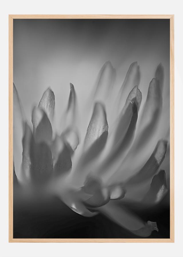 Bildverkstad Black and White Shaddows Poster