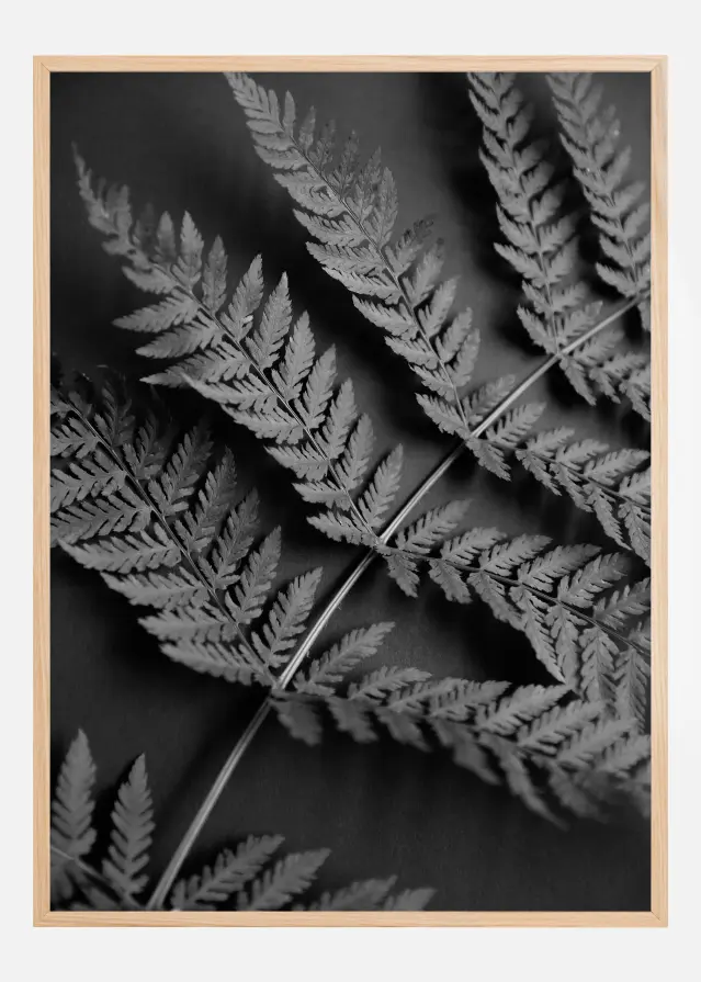 Bildverkstad Black Fern Poster