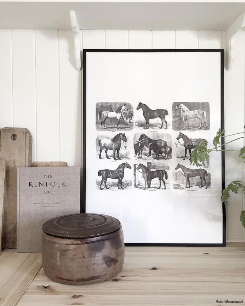 Bildverkstad Horse breeds Poster