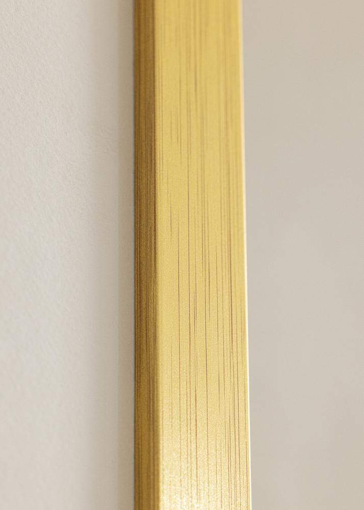 Galleri 1 Frame Gold Wood Acrylic glass 25x35 cm