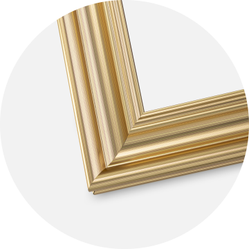 Focus Frame Charleston Gold 18x24 cm