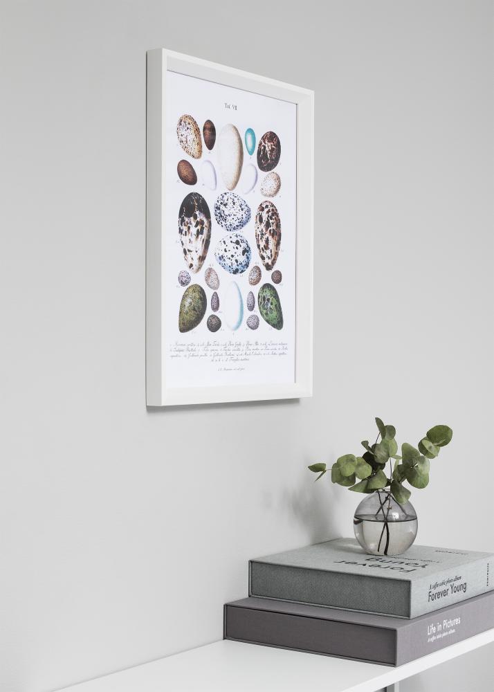 Ram med passepartou Frame Globe White 50x70 cm - Picture Mount White 33x56 cm