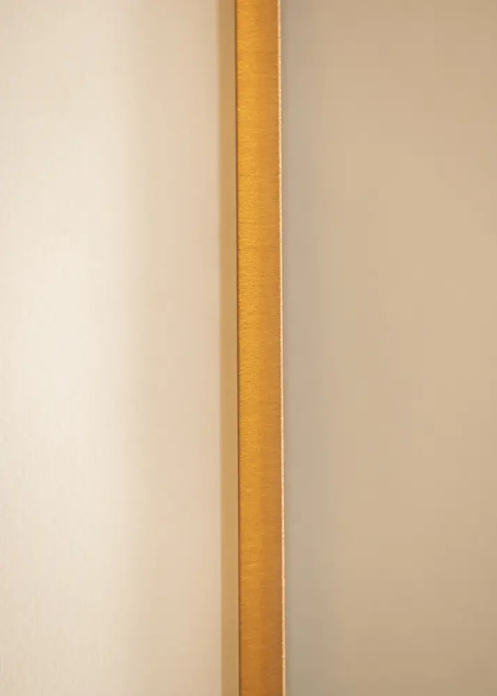 Ramverkstad Frame Nielsen Premium Alpha Brushed Amber - Custom Size