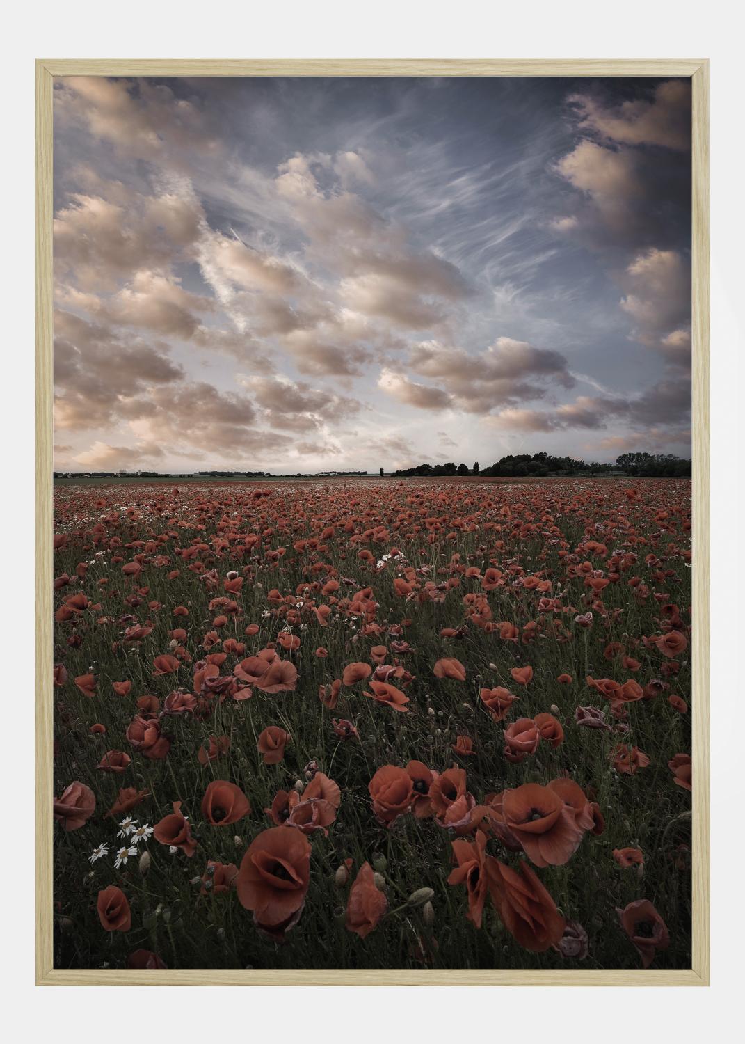 Product Image for Poppy Field In Sweden Poster (21x29.7 cm (A4))