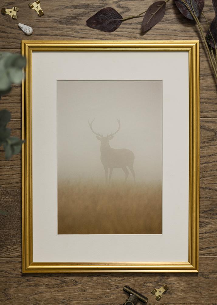 Estancia Frame Carl Gold 50x70 cm