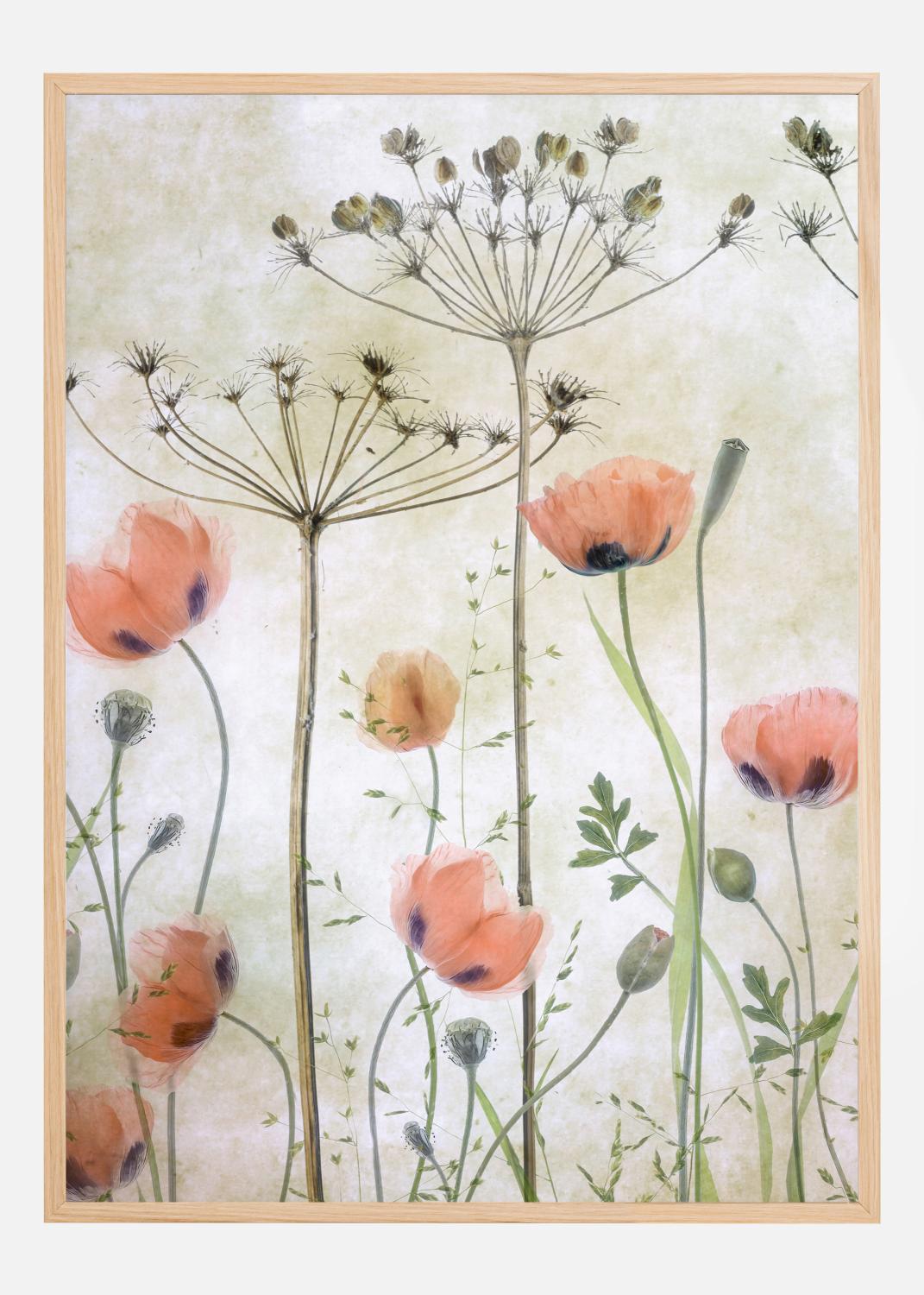 Product Image for Poppy Meadow Poster (21x29.7 cm (A4))