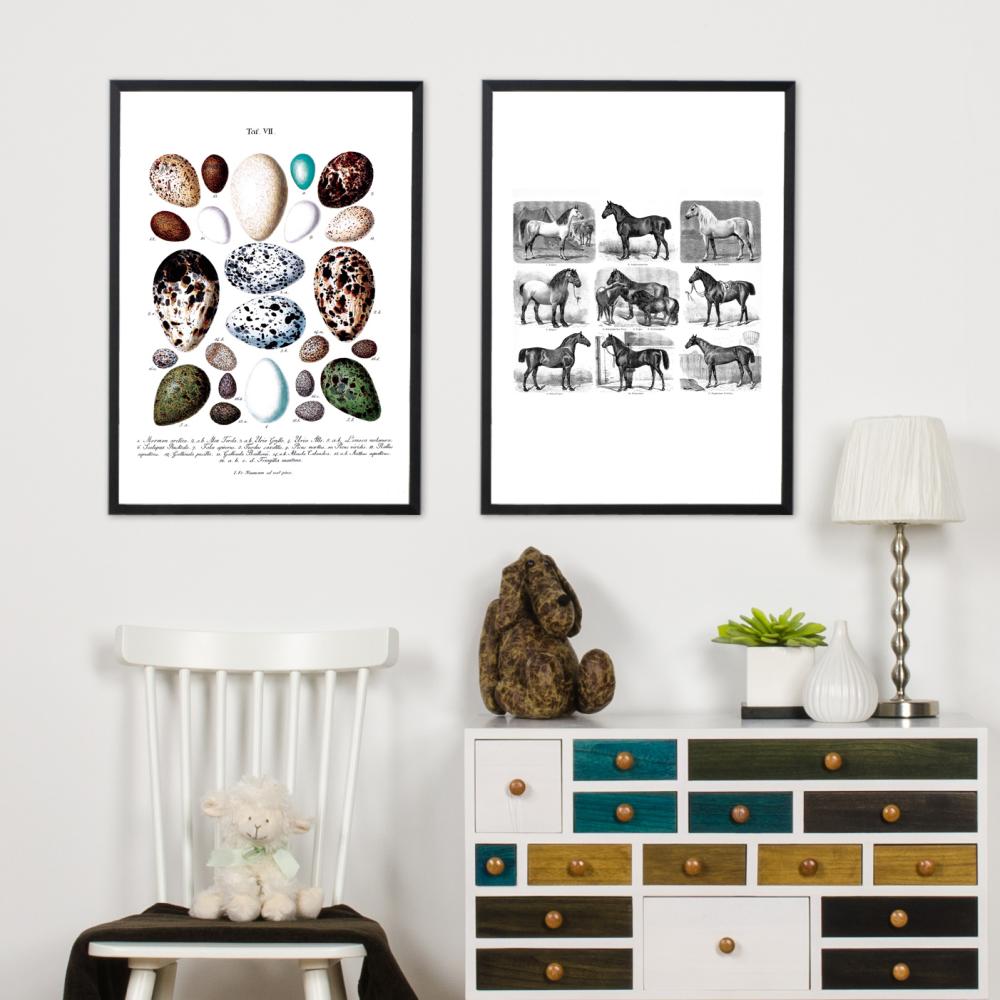 Bildverkstad Horse breeds Poster