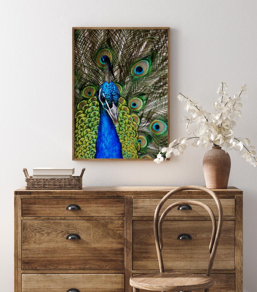 Bildverkstad Peacock I Poster