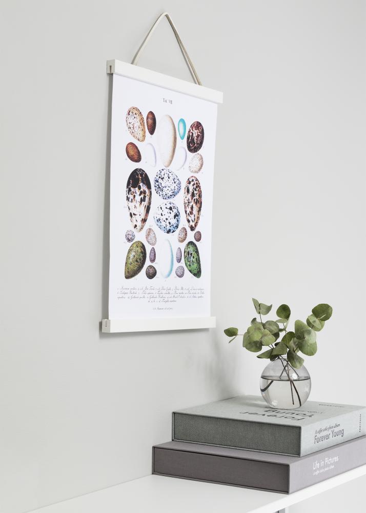 Focus Poster hangers White - 70 cm