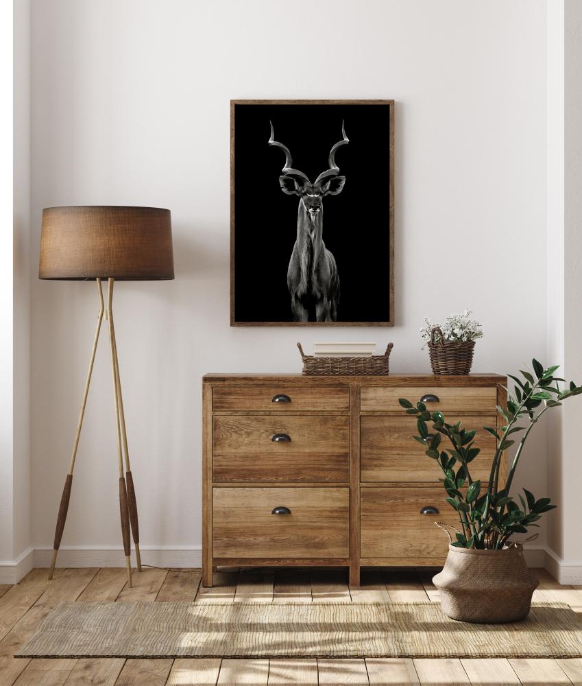 Bildverkstad Greater Kudu Poster