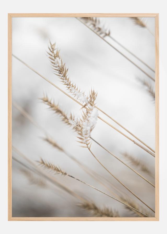 Bildverkstad Swaying Reed I Poster