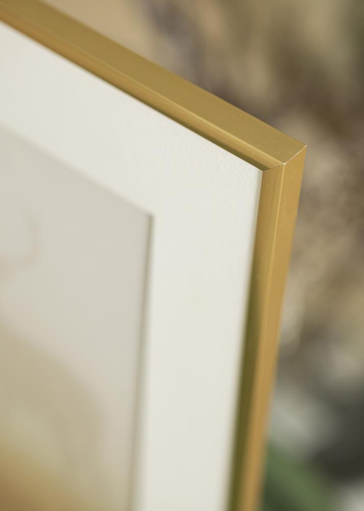 Ram med passepartou Frame New Lifestyle Shiny Gold 50x50 cm - Picture Mount White 40x40 cm