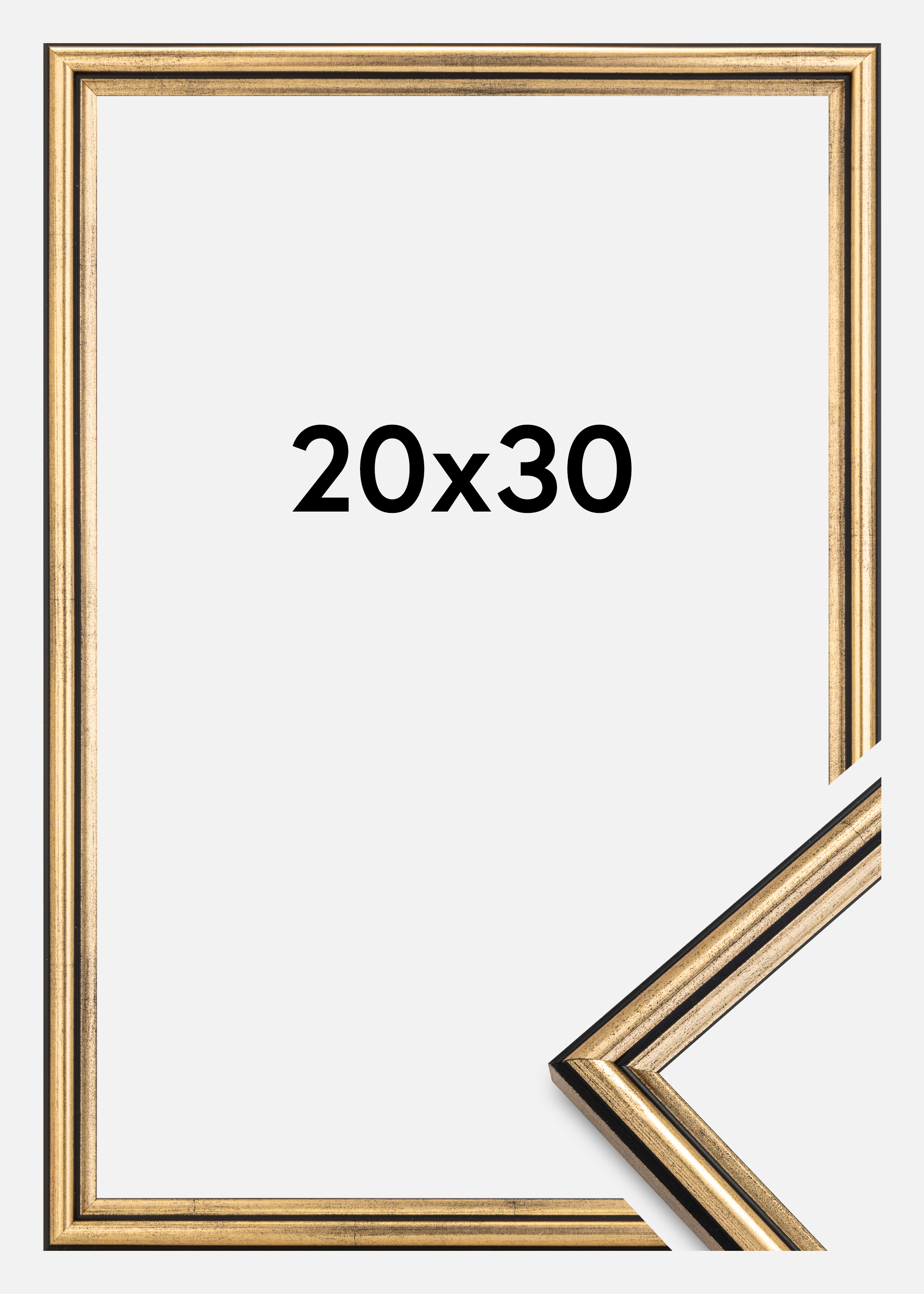 Frame Horndal Gold 20x30 cm