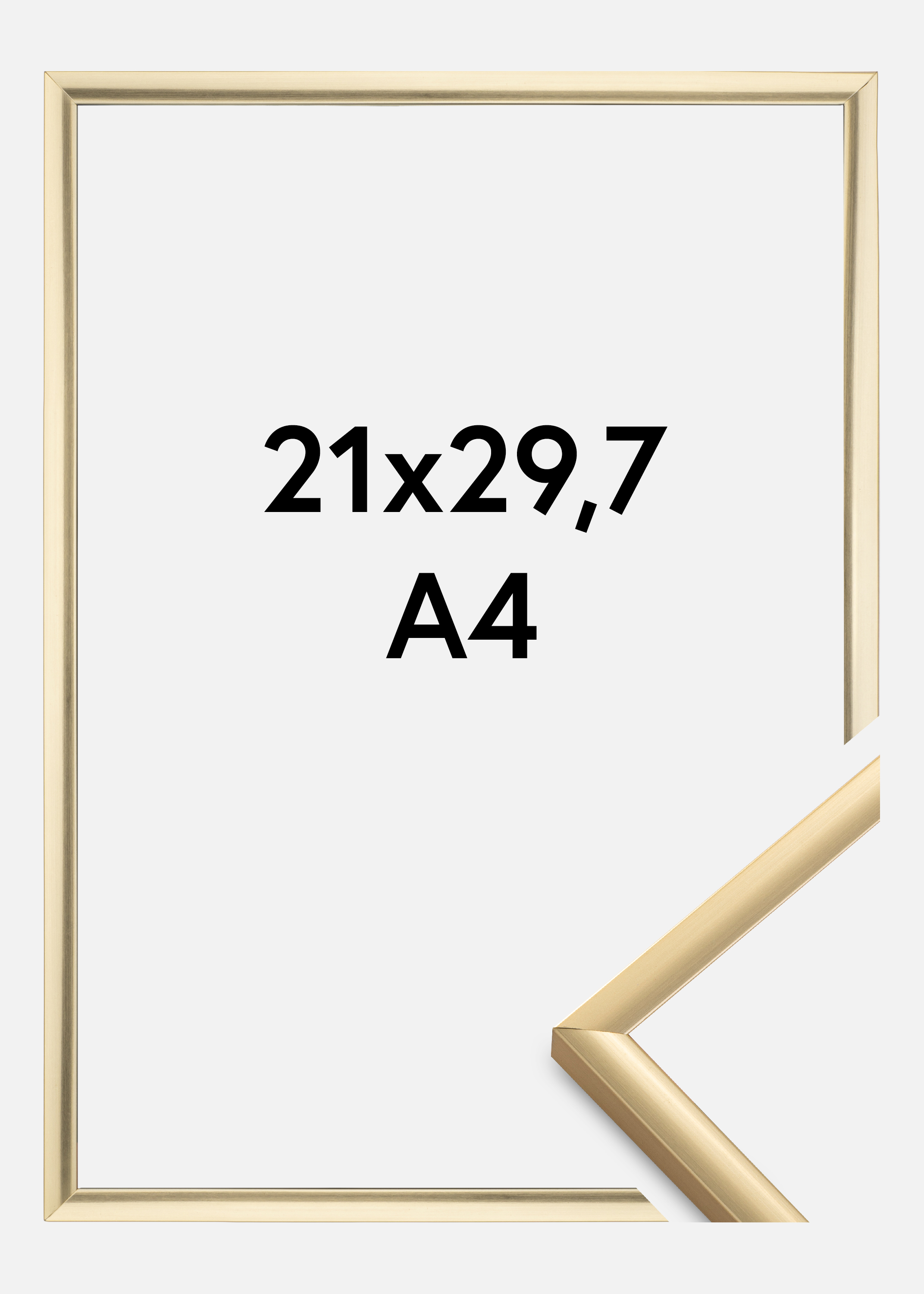 Frame New Lifestyle Gold 21x29,7 cm (A4)