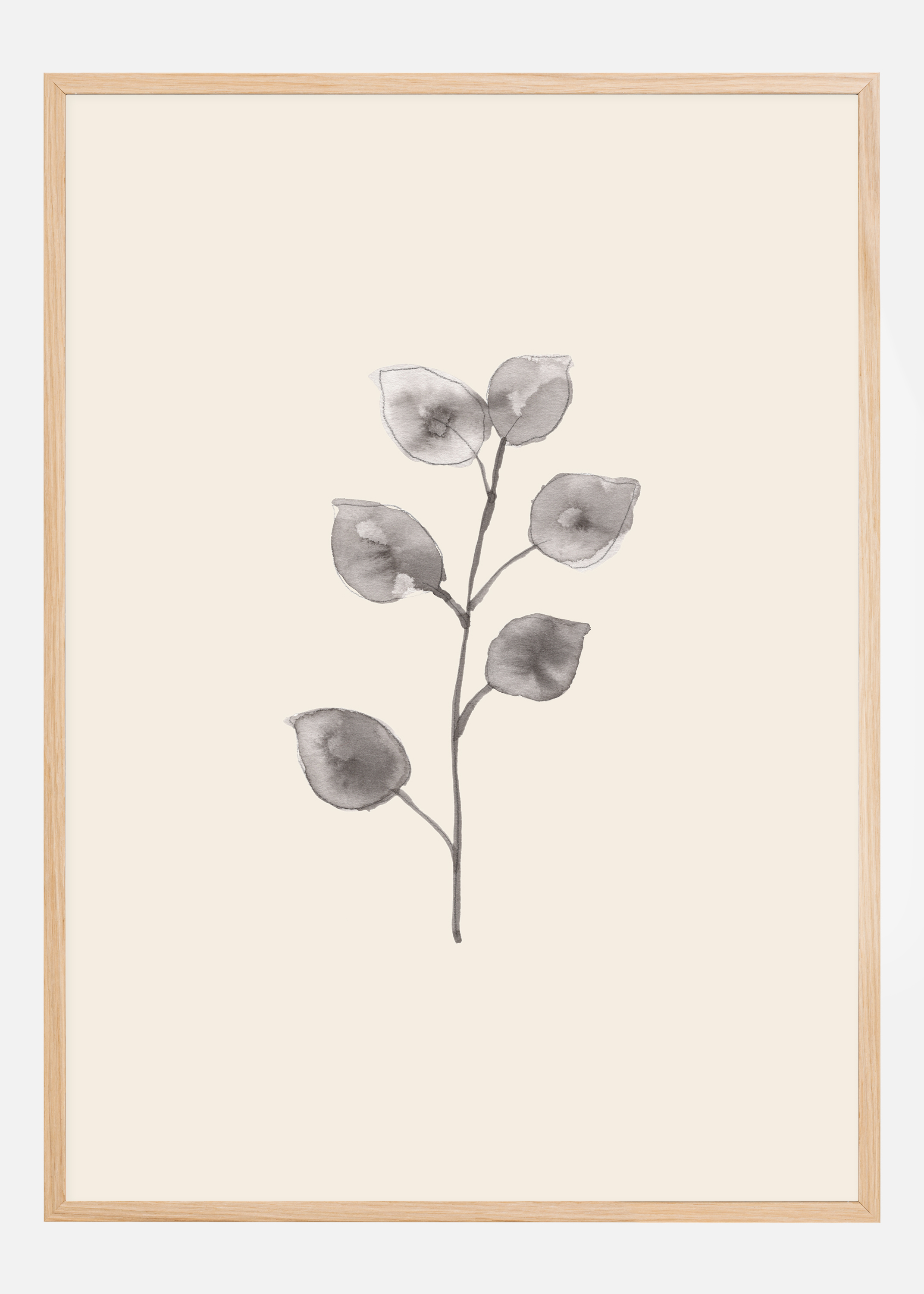Eucalyptus Twig Poster (50x70 cm)