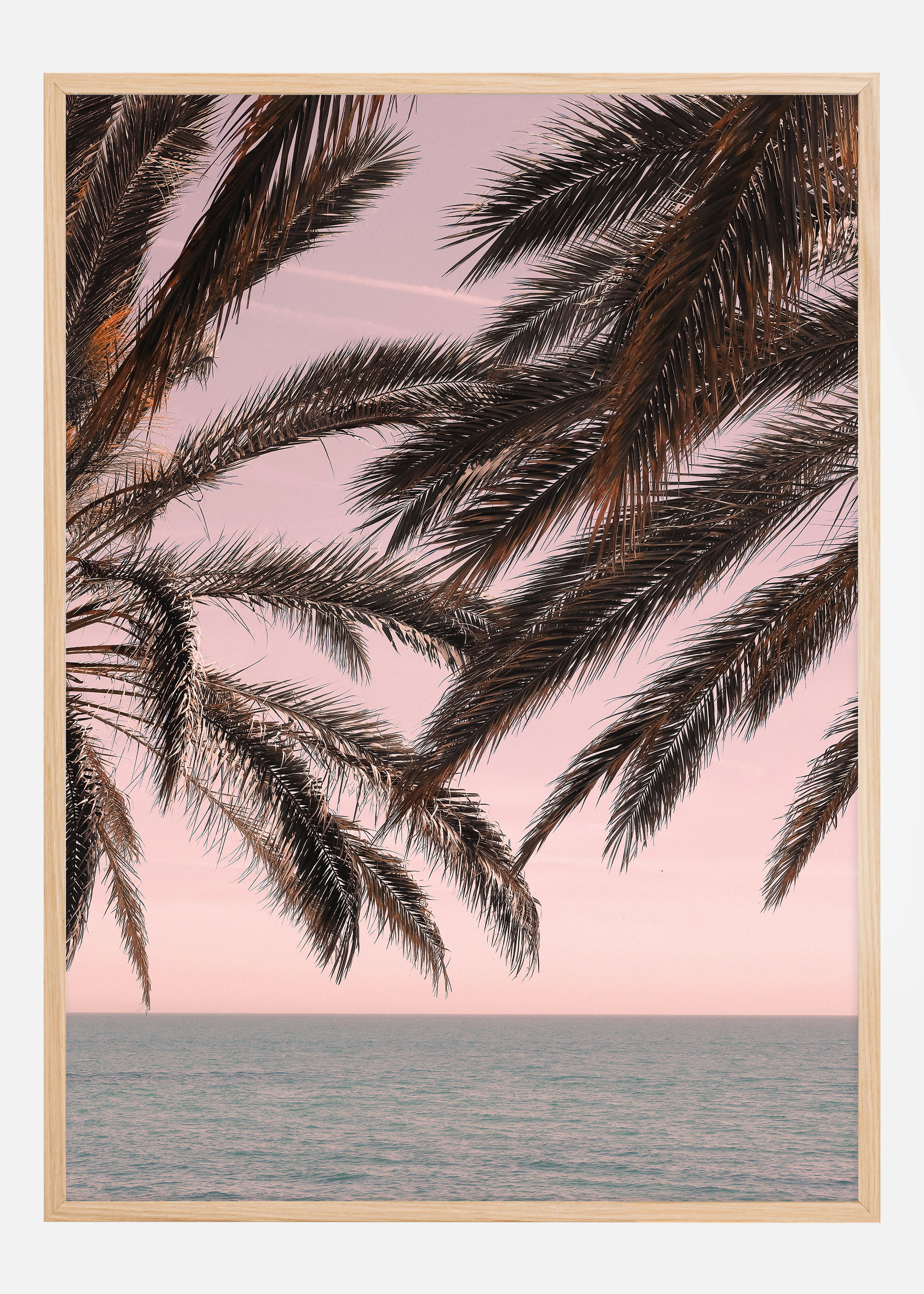 Palm Beach III Poster (70x100 cm)